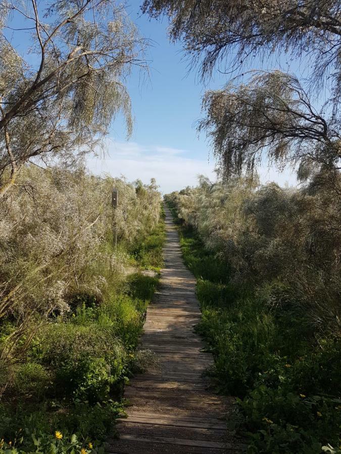 דירות איסלה דל מורל Mar מראה חיצוני תמונה